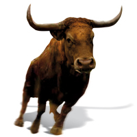 Meriel Bull The taming of Merrill - The Banker