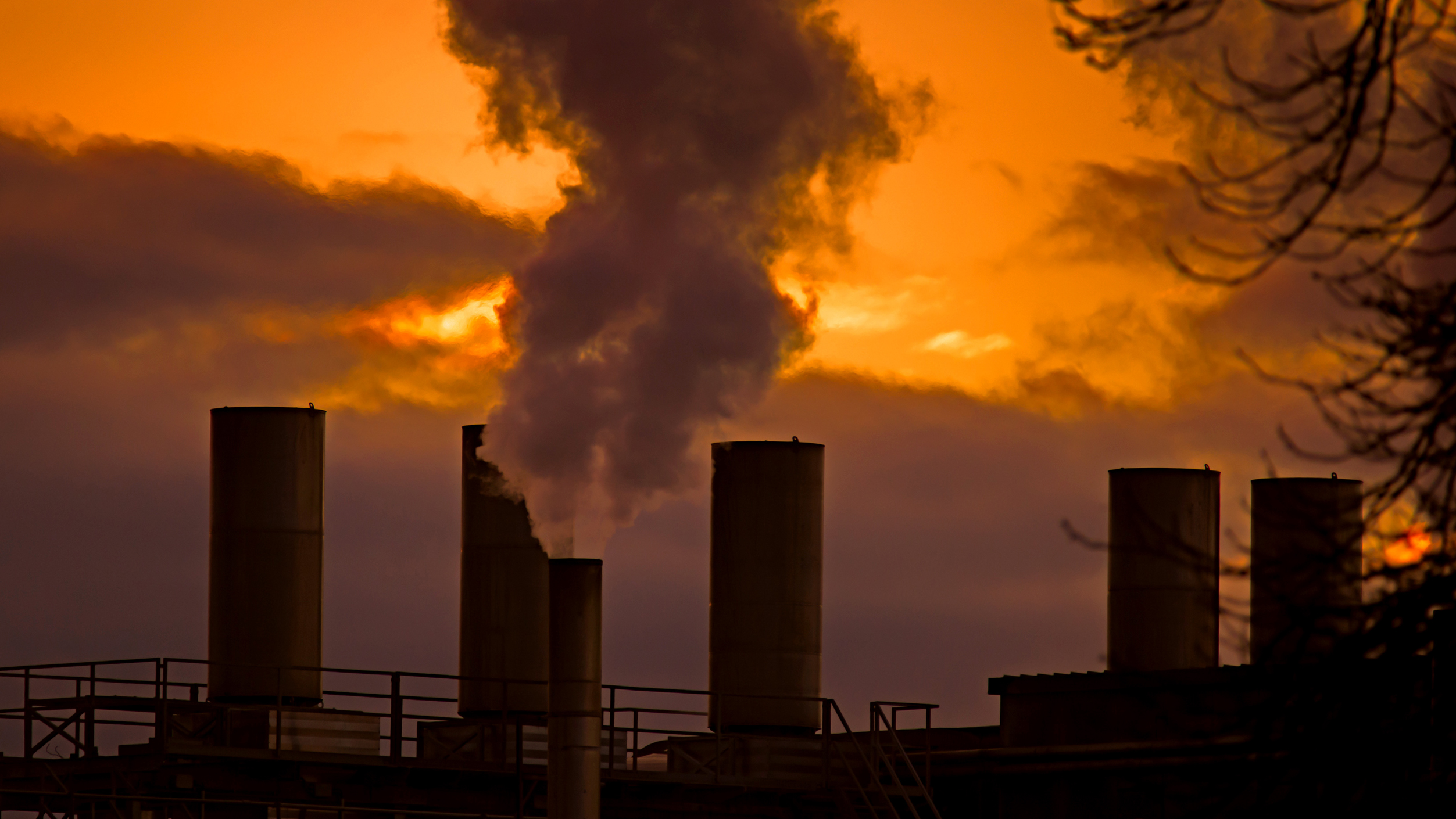 Do NZBA exits mark the end of bank co-ordination on climate? - The Banker